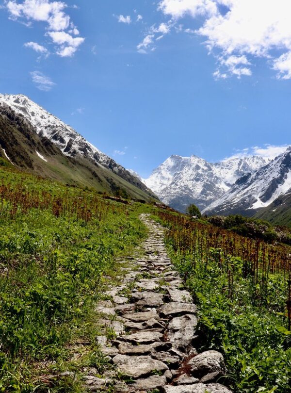 Valley of Flowers,