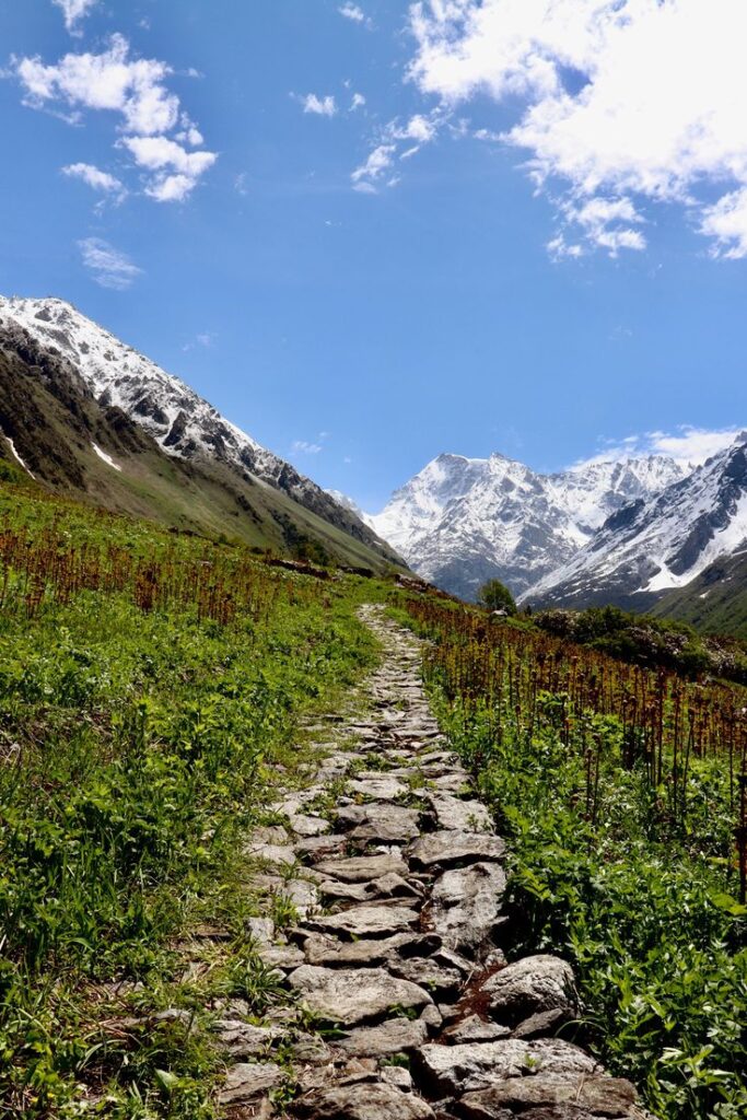 Valley of Flowers,