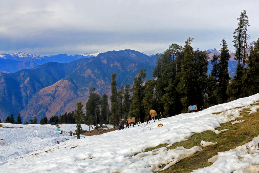 Kedarkantha Trek
