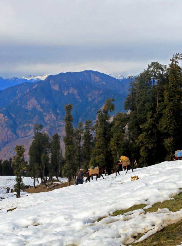 Kedarkantha Trek