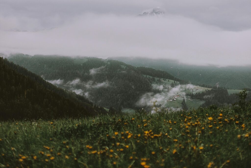A serene misty countryside scene with mountains, greenery, and wildflowers in the foreground.