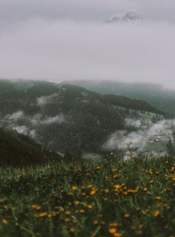 A serene misty countryside scene with mountains, greenery, and wildflowers in the foreground.
