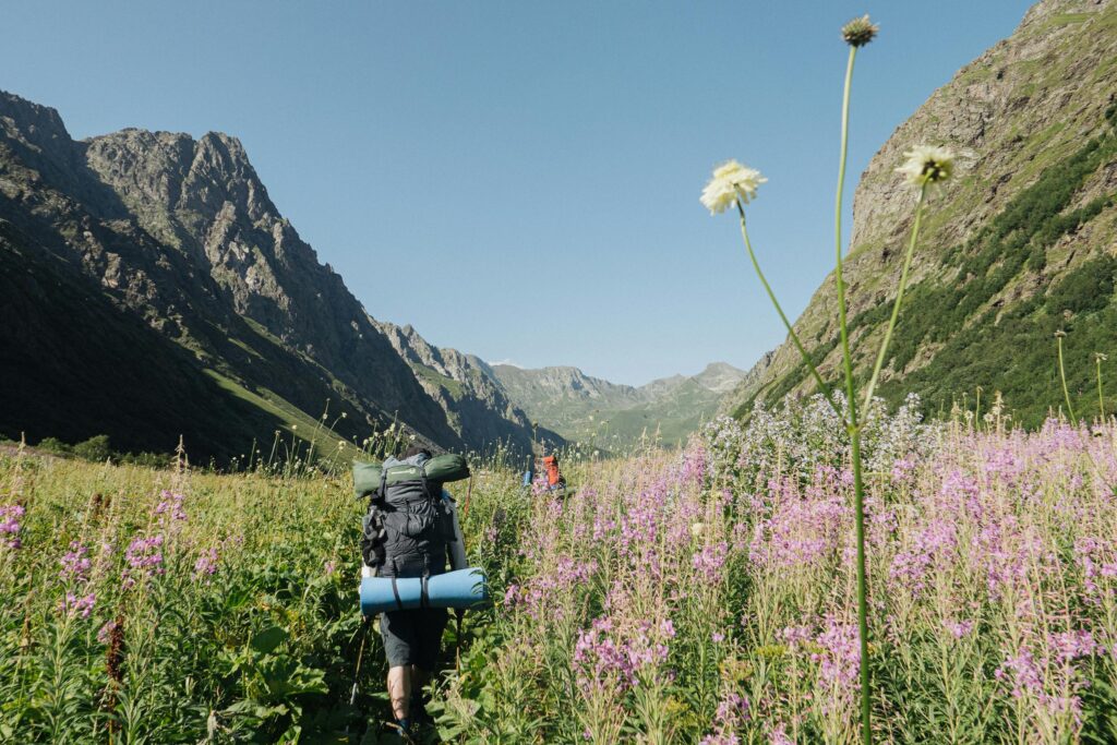 Backpackers hike through a flower-filled mountain valley under a clear summer sky.